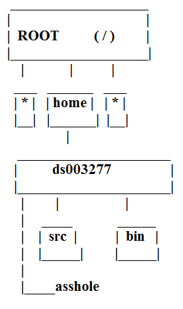 ascii_asshole.png