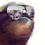 sloth-sunglasses-shades-money-reflection-1370560632n.jpg